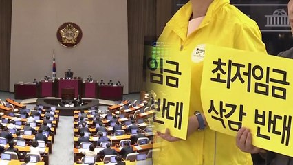 최저임금법 개정안 본회의 통과...'판문점 선언' 결의안은 무산 / YTN
