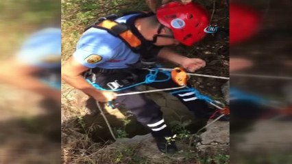 3 gün kuyuda yaşam mücadelesi veren köpek kurtarıldı