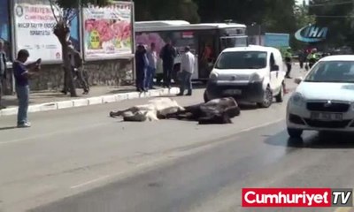 2 ata beton mikseri çarptı