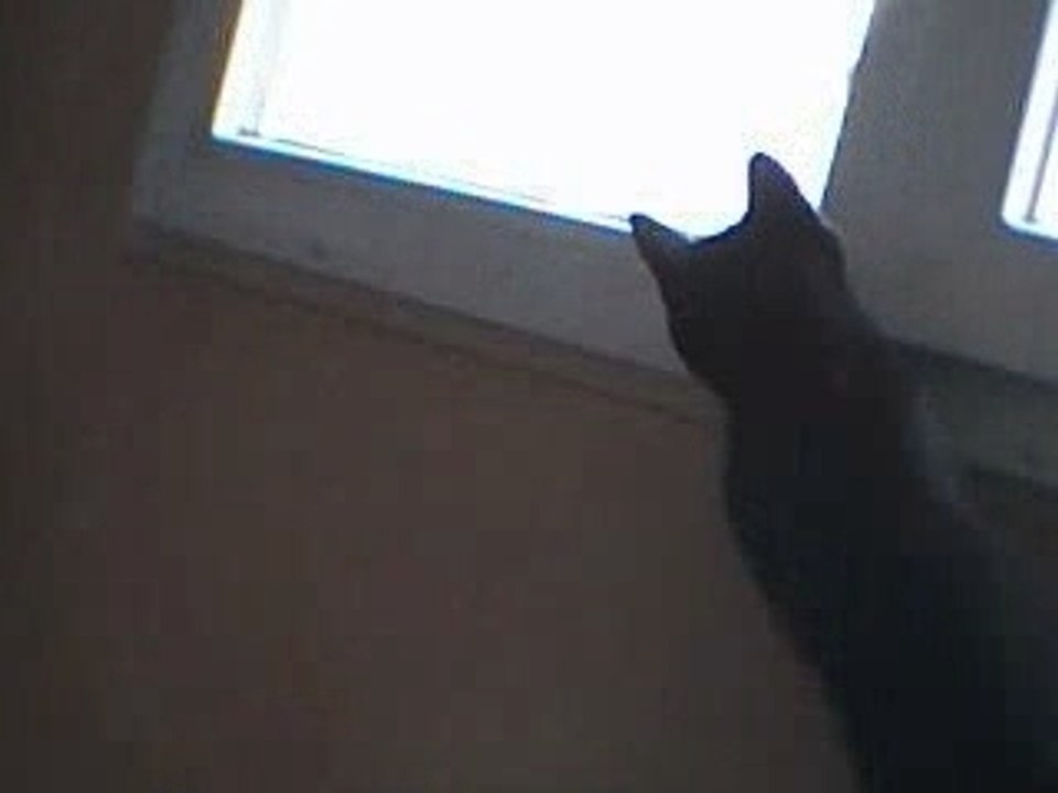 Toupie se fouge !