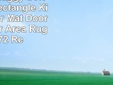 Transer Shaggy Soft NonSlip Rectangle Kitchen Floor Mat Doormat Runner Area Rug  24 x 72