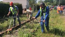 Les cheminots débroussaillent une ancienne voie de chemin de fer