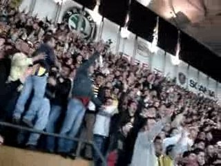 Pinarbasi fenerbahce taraftar supporters