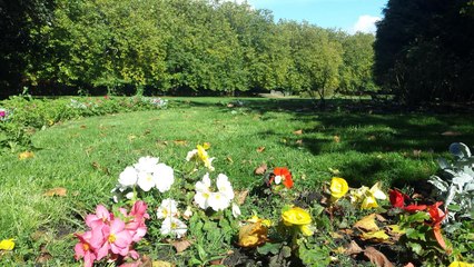 WEATHER: Your latest local outlook