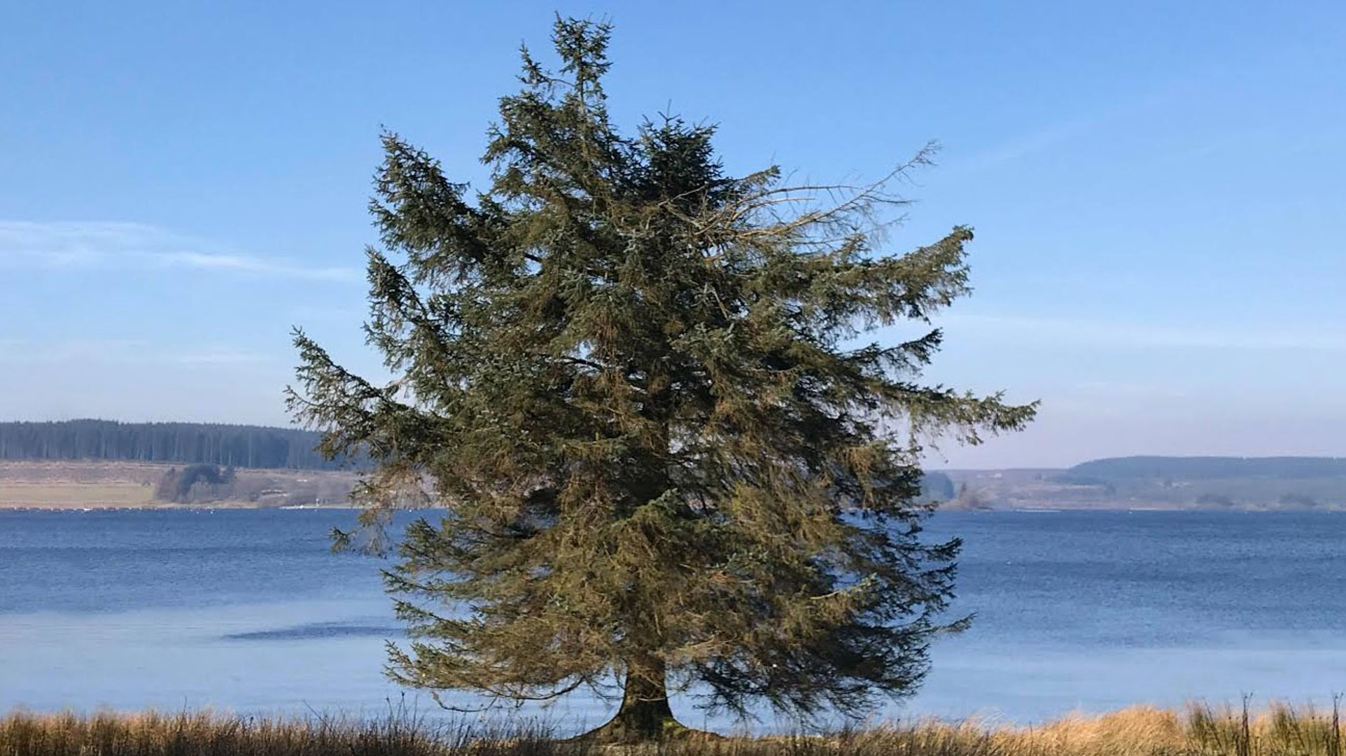 ⁣WEATHER: Your latest local outlook