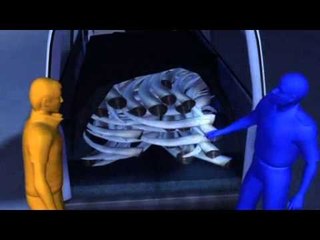 Next Media: Thailand seizes large shipment of illegal African ivory