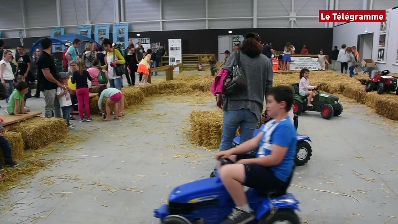 Saint-Brieuc. Terralies : les enfants marquent l'avenir
