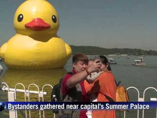 Скачать видео: Giant rubber duck continues world tour in Beijing