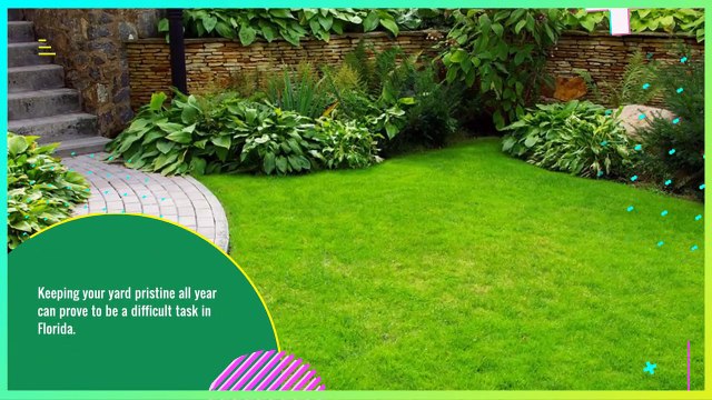 Residential Landscape Design - Tree Amigos Outdoor Services