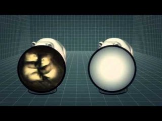 Next Media: Beagles to detect polar bears pregnancies