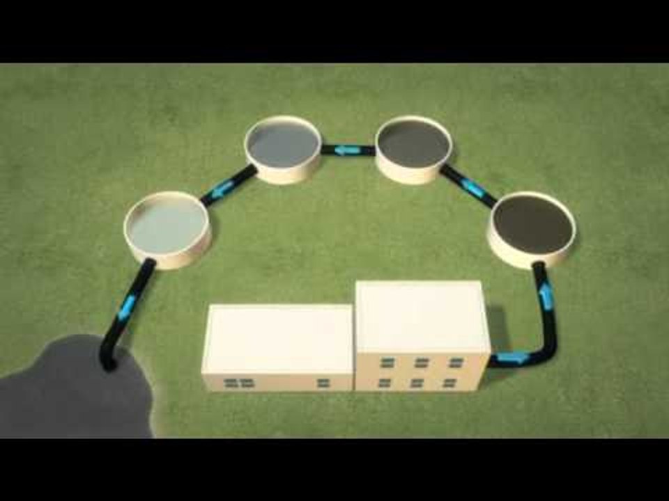 Next Media: Plastic microbeads from exfoliating products pollute the Great Lakes