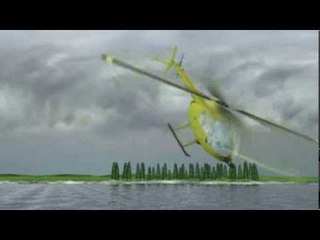 Next Media: Chinese billionaire feared dead in French helicopter crash