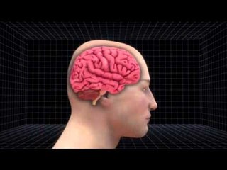 Schumacher's condition stabilises, doctors perform second operation