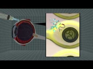 Next Media: Gene therapy restores rare genetic blindness