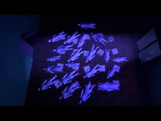 Next Media: Eight killed, gunned down at religious gathering in Pakistan