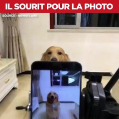 Ce chien sourit pour percer sur les réseaux !  via Newsflare