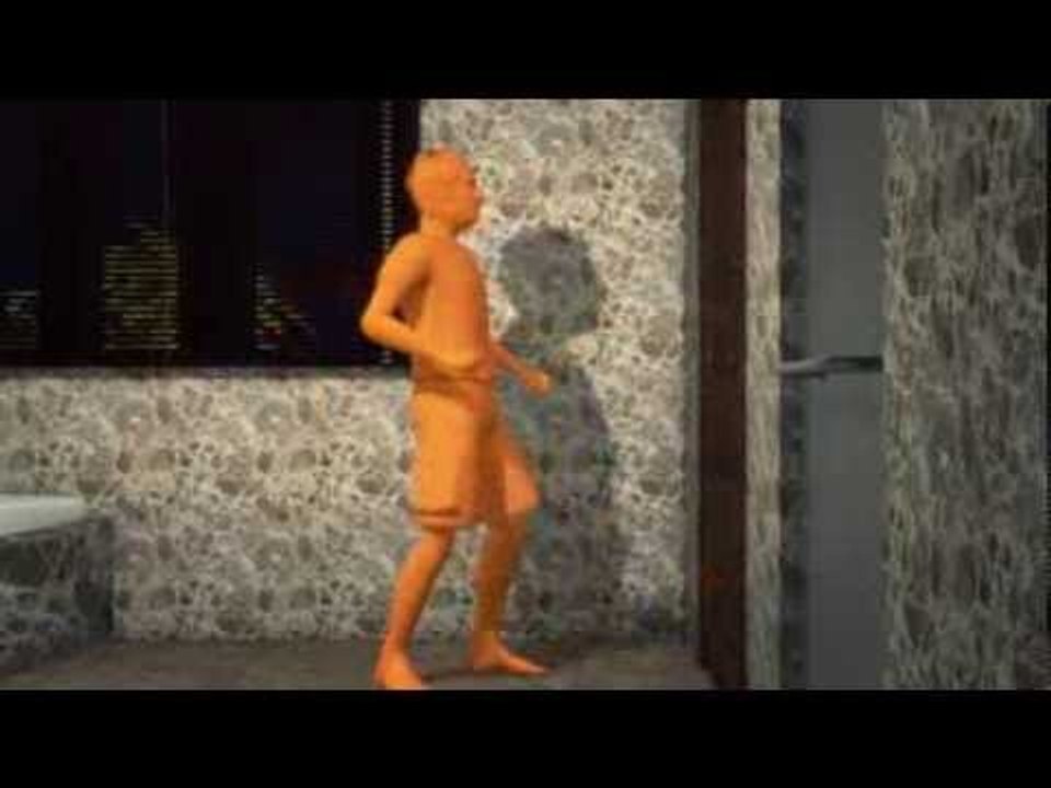 Next Media: Oscar Pistorius shooting of Reeva Steenkamp: affidavit animated