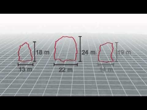 Next Media: Chinese satellite picks up possible Malaysia Airlines plane debris
