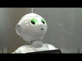AFP Video: Interview with a Japanese humanoid robot