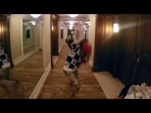 Cover Media Video: Beyoncé breaks record with six Grammy nominations