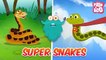 Snakes - The Dr. Binocs Show | Best Learning Videos For Kids | Peekaboo Kidz