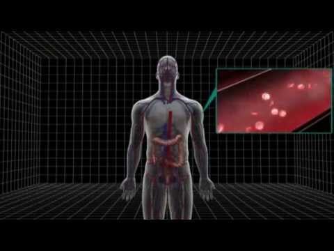 Next Media Video: Australian-own gold mine blamed for arsenic poisoning in Thai village