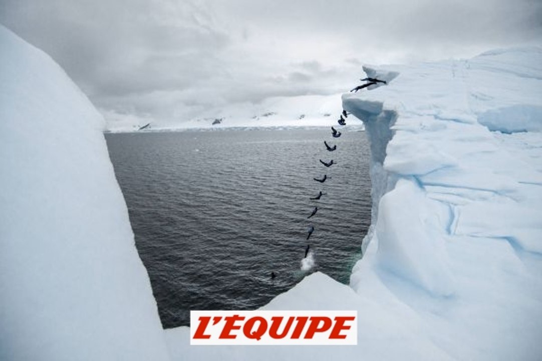 La vidéo du saut d?Orlando Duque depuis un iceberg en Antarctique - Adrénaline - Plongeon