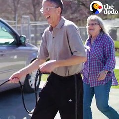 This rescue pup’s owner says he’s “love and happiness on three legs.” ❤️ #ShedHappens