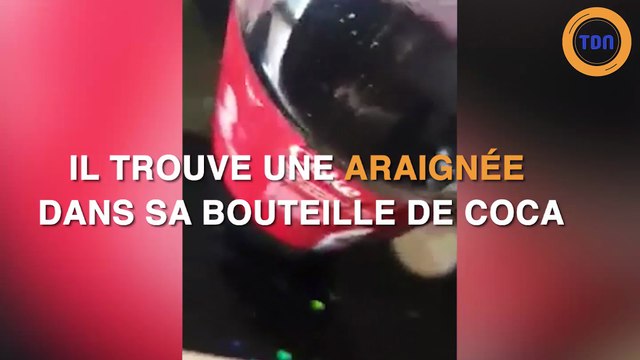 Il trouve une araignée dans son Coca