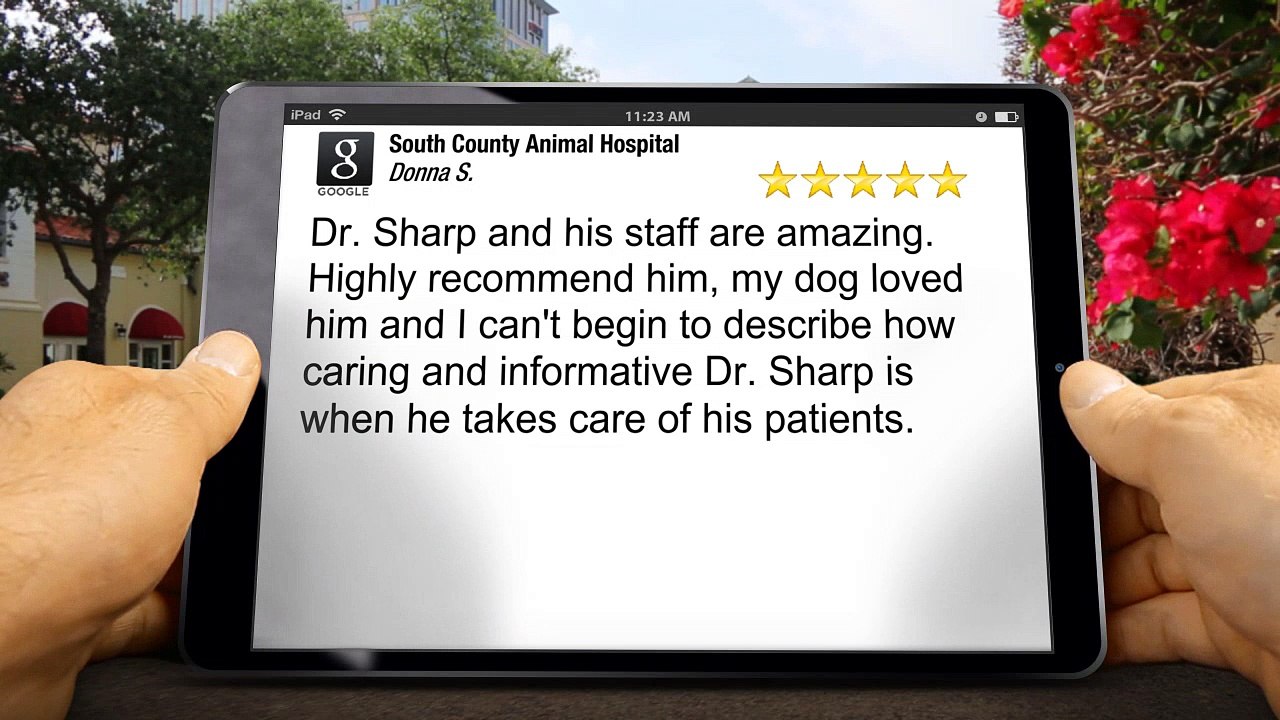 South County Animal Hospital Greenwood Remarkable 5 Star Review by Donna Sinclair
