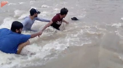 Friends Form Human Chain To Rescue Dog