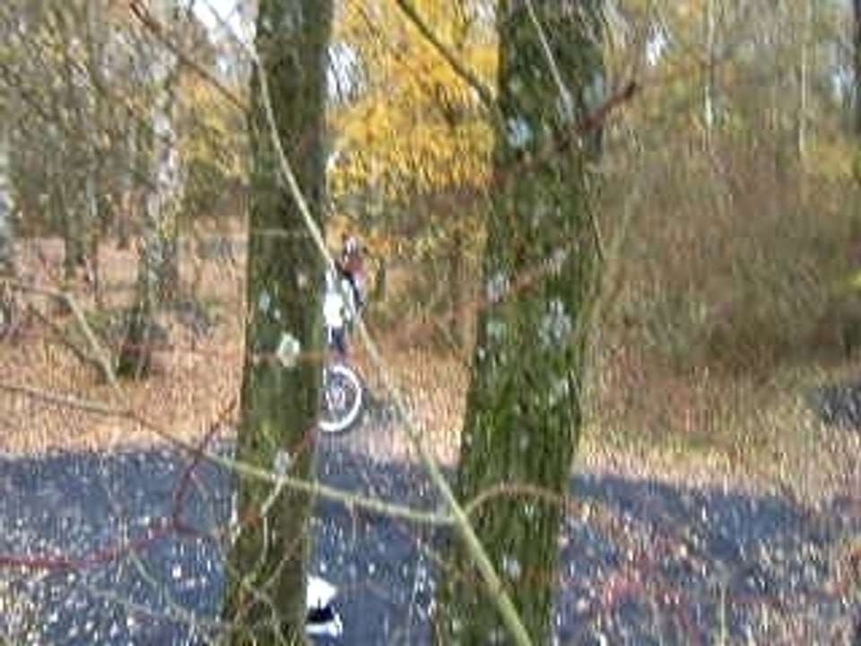 Descente7)