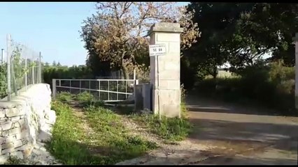 Andria strada boschetto