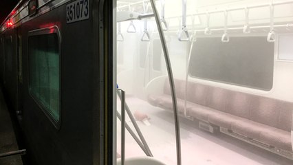 현역 육군 중위, 만취해 지하철에서 난동 / YTN