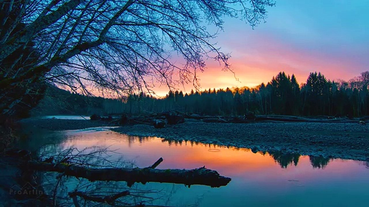 Sunrise at Hoh River - 4K Nature Relax Video - 1 HR for Relaxation, Destress and Restoration