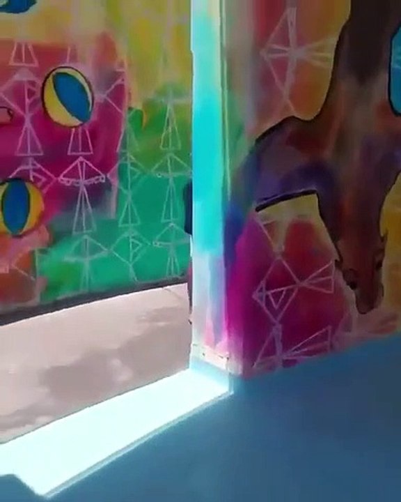 Mexique : Un homme en pleine sieste se fait réveiller par un phoque !