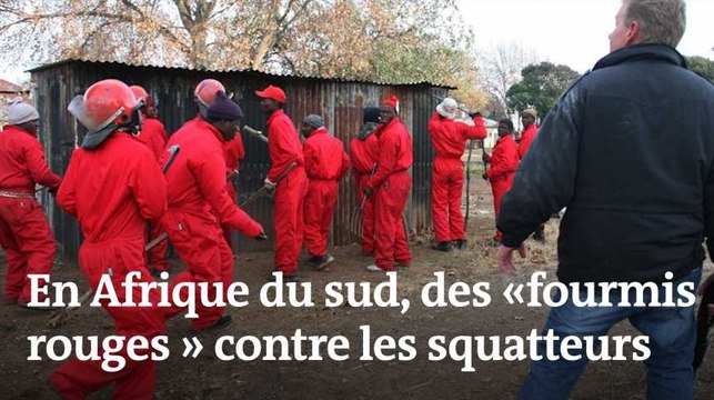 Afrique du sud : des « fourmis rouges » contre les squatteurs