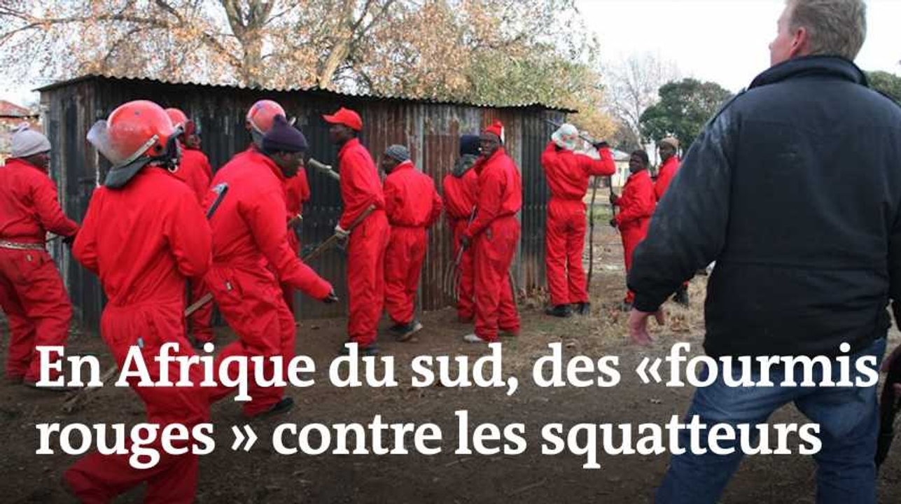 Afrique du sud : des « fourmis rouges » contre les squatteurs