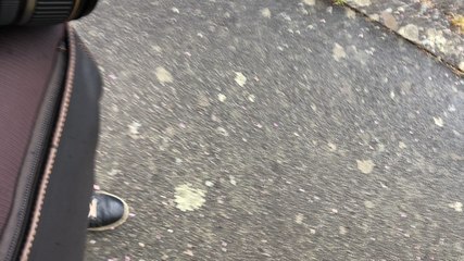 Violent orage à Auray: des magasins touchés