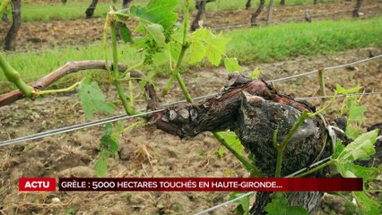 La grande édition du Lundi 28 Mai