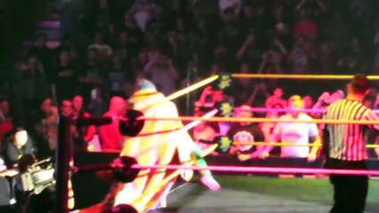 Peyton Royce vs Asuka - NXT Bel Air October 8th 2016