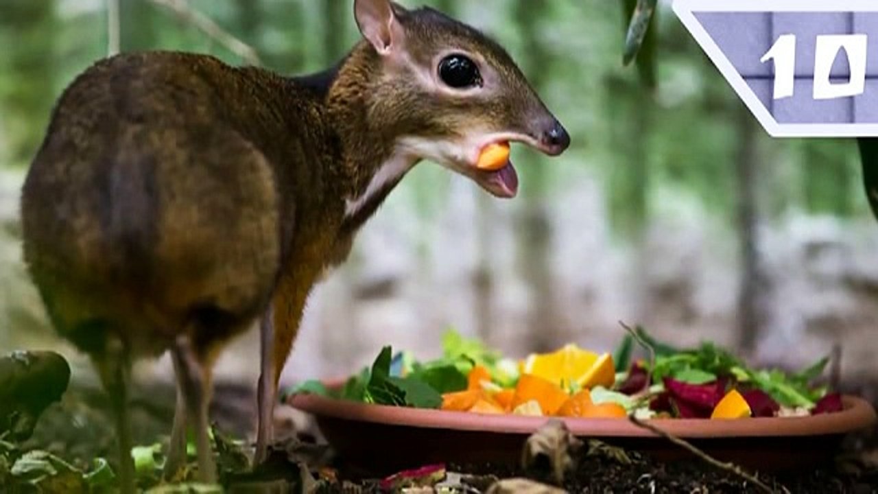 What the Fact - Episode 06