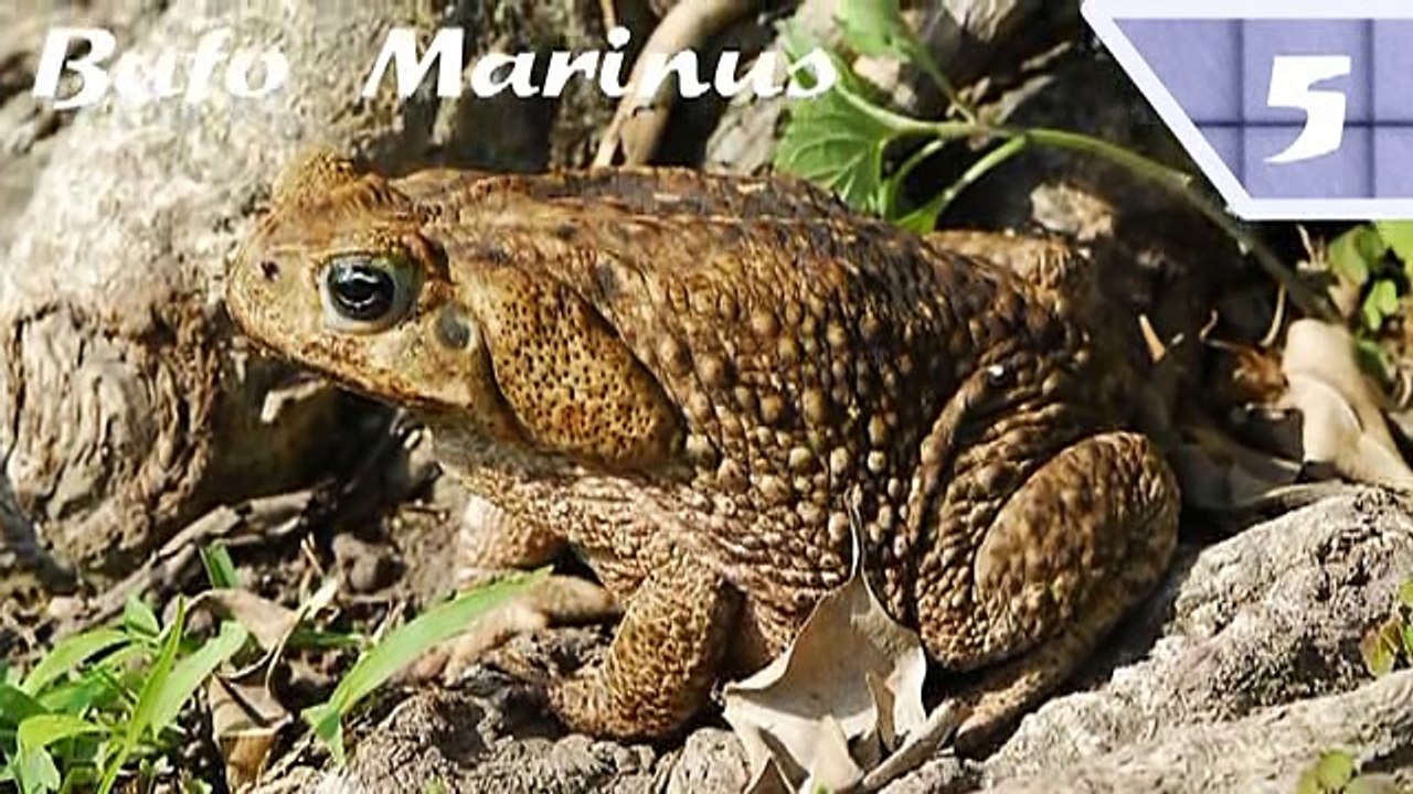 What the Fact - Episode 07