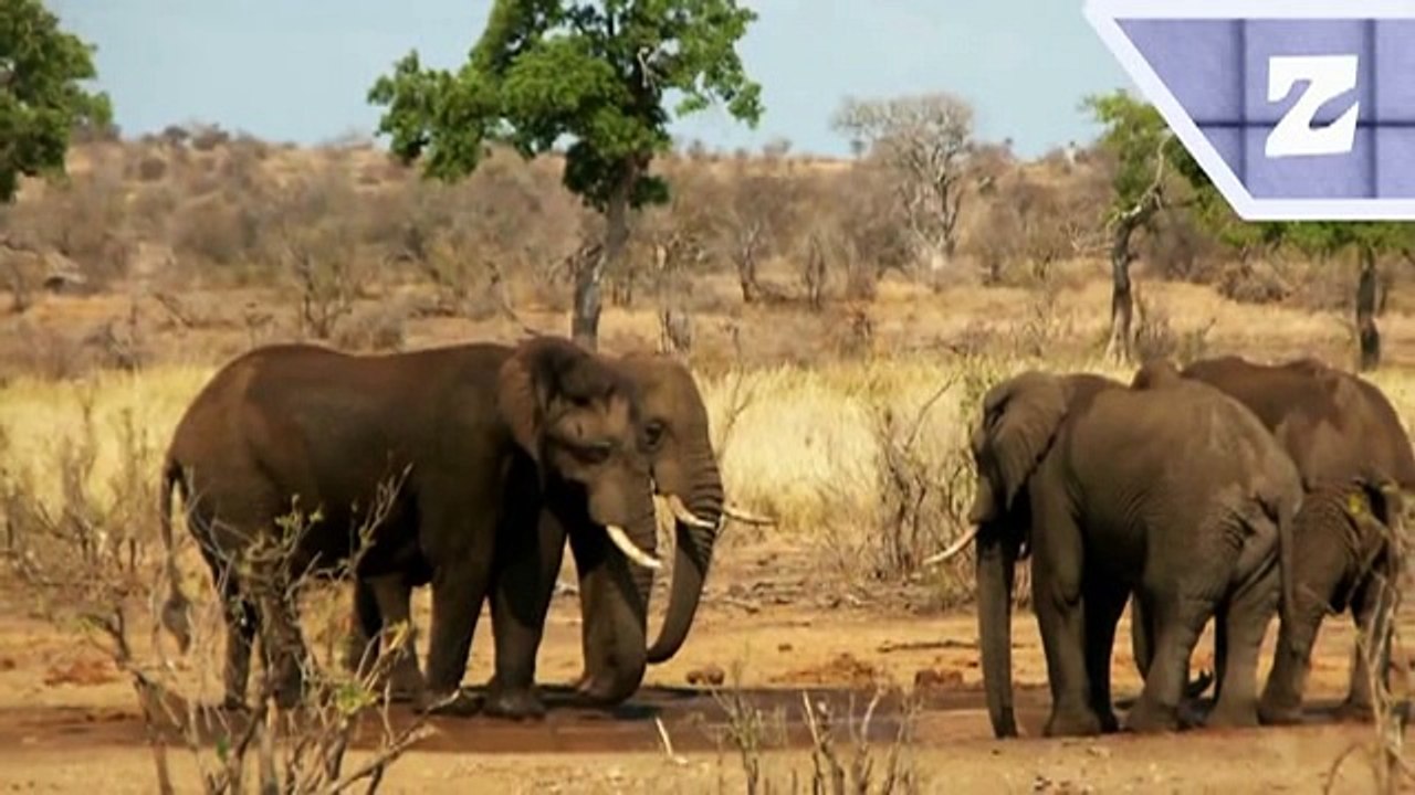 What the Fact - Episode 09