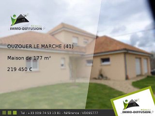 Maison A vendre Ouzouer le marche 177m2 + Jardin 4225m2