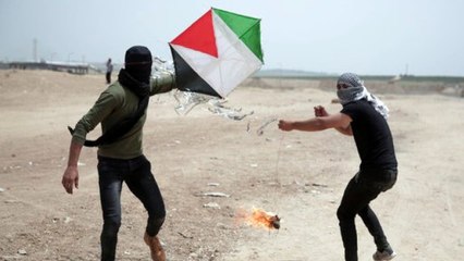 New Threat at Israel-Gaza Border: Agriculture Terror