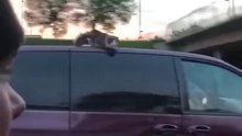 Pauvre chat : il s'agrippe au toit de la voiture !