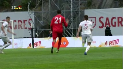 Goal Anice Badri - Portugal 2 - 1 Tunisia
