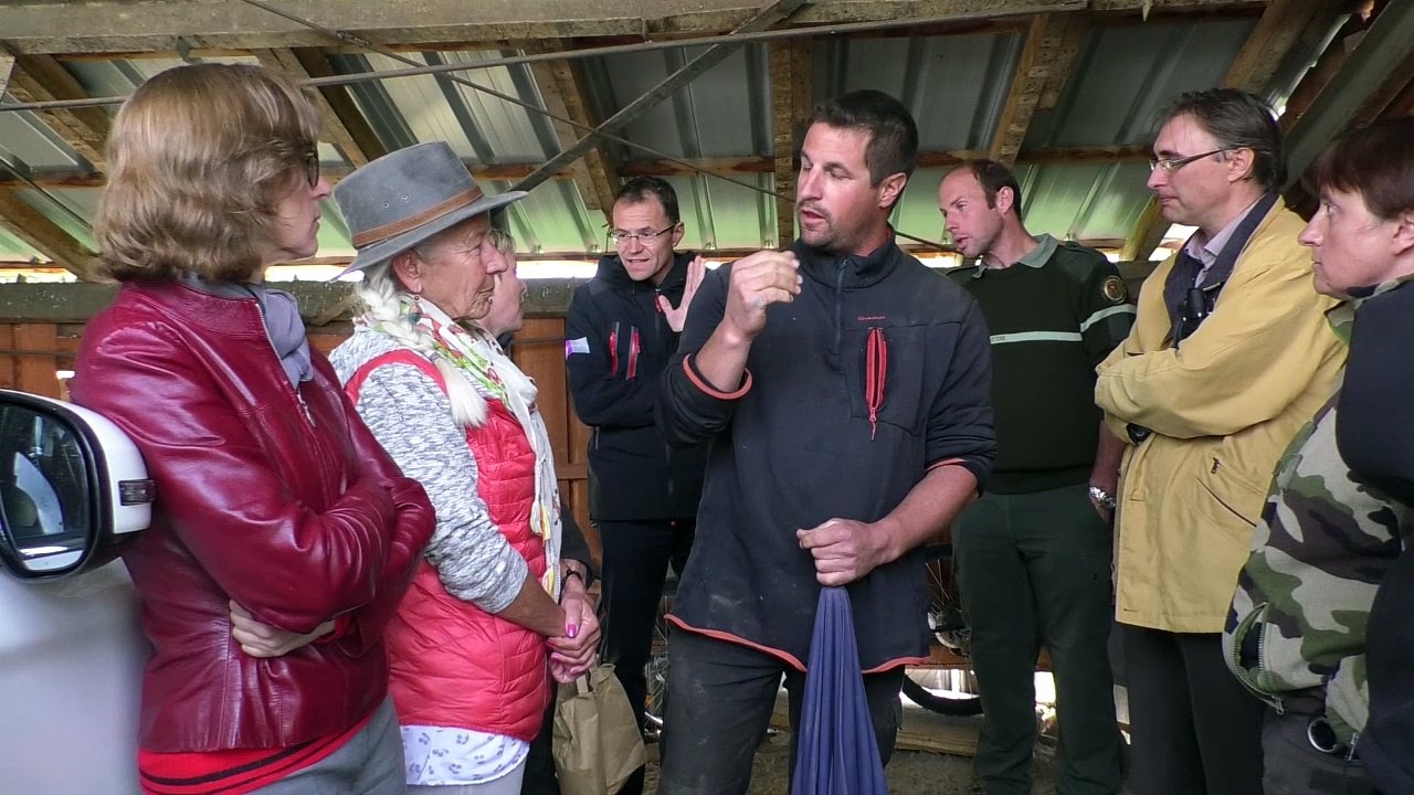 Hautes-Alpes : la préfète et la FDSEA au chevet de l’éleveur attaqué par les loups au pied du Cuchon