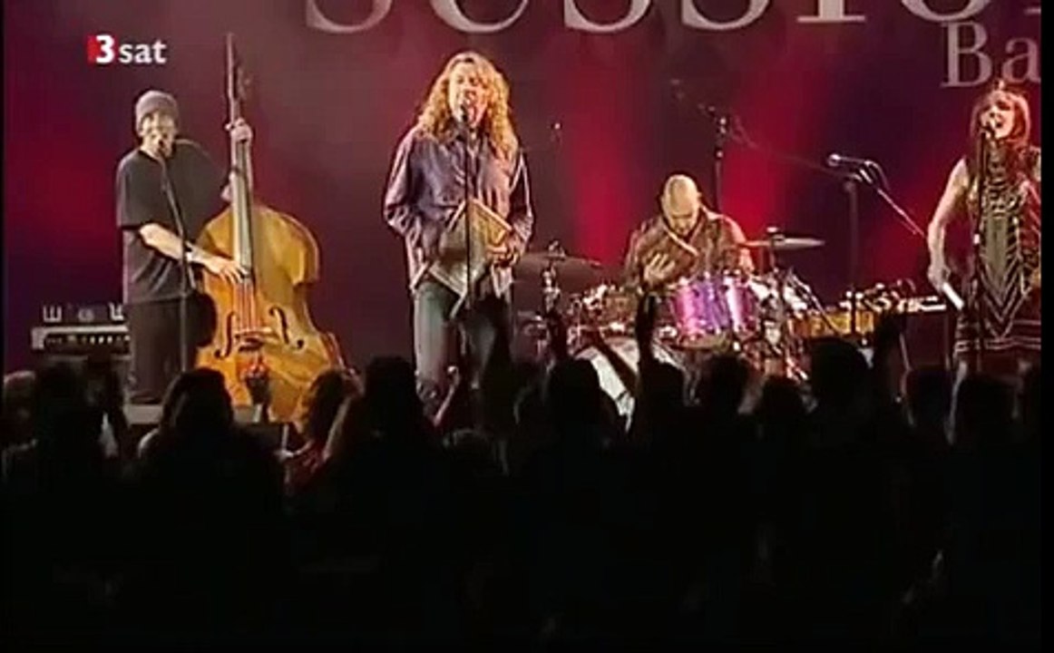 warsh board bobbie plant 2 mp4 gif no sound pink titled